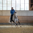 Barockes Reiten mit Richard Hinrichs 23-03-2014 - Lipizzaner Maestoso Alea