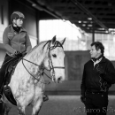 Barockes Reiten mit Richard Hinrichs 23-03-2014 - Lipizzaner Maestoso Alea