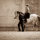 Barockes Reiten mit Richard Hinrichs 23-03-2014 - Lipizzaner Maestoso Alea
