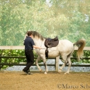 Barockes Reiten mit Richard Hinrichs