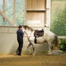 Barockes Reiten mit Richard Hinrichs