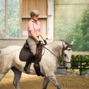 Barockes Reiten mit Richard Hinrichs