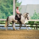 Barockes Reiten mit Richard Hinrichs