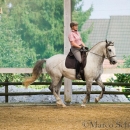 Barockes Reiten mit Richard Hinrichs