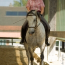 Barockes Reiten mit Richard Hinrichs