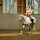 Barockes Reiten mit Richard Hinrichs