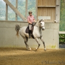 Barockes Reiten mit Richard Hinrichs