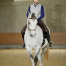 Barockes Reiten mit Richard Hinrichs
