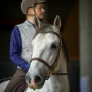Barockes Reiten mit Richard Hinrichs