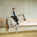 Barockes Reiten mit Richard Hinrichs