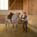Barockes Reiten mit Richard Hinrichs