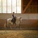 Barockes Reiten mit Richard Hinrichs