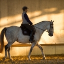 Barockes Reiten mit Richard Hinrichs