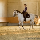 Barockes Reiten mit Richard Hinrichs
