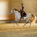 Barockes Reiten mit Richard Hinrichs
