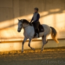 Barockes Reiten mit Richard Hinrichs