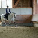 Barockes Reiten mit Richard Hinrichs