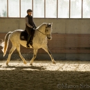 Barockes Reiten mit Richard Hinrichs