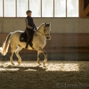 Barockes Reiten mit Richard Hinrichs