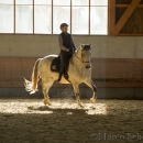 Barockes Reiten mit Richard Hinrichs