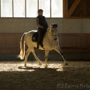 Barockes Reiten mit Richard Hinrichs