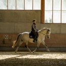 Barockes Reiten mit Richard Hinrichs