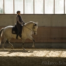 Barockes Reiten mit Richard Hinrichs