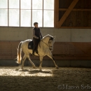 Barockes Reiten mit Richard Hinrichs