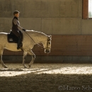 Barockes Reiten mit Richard Hinrichs