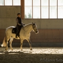 Barockes Reiten mit Richard Hinrichs