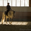 Barockes Reiten mit Richard Hinrichs