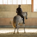 Barockes Reiten mit Richard Hinrichs