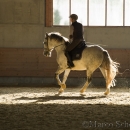 Barockes Reiten mit Richard Hinrichs