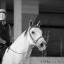 Barockes Reiten mit Richard Hinrichs