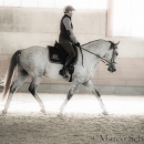 Barockes Reiten mit Richard Hinrichs