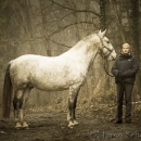 M.Alea im Nebel