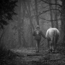 M.Alea im Nebel