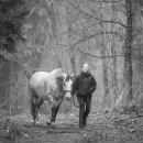 M.Alea im Nebel