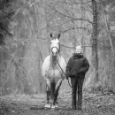 M.Alea im Nebel