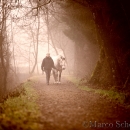 M.Alea im Nebel