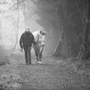 M.Alea im Nebel