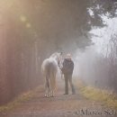 M.Alea im Nebel