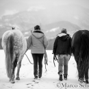 Maestoso Alea - Februar 2015