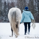 Maestoso Alea - Februar 2015