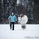 Maestoso Alea - Februar 2015