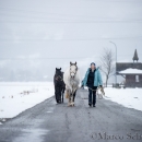 Maestoso Alea - Februar 2015