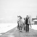 Maestoso Alea - Februar 2015