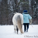Maestoso Alea - Februar 2015