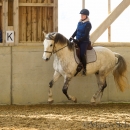 Barockes Reiten mit Richard Hinrichs