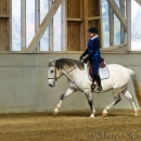 Barockes Reiten mit Richard Hinrichs